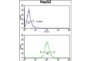 Flow cytometry analysis of HepG2 cells (bottom histogram) compared to a negative control cell (top histogram). (DCL1 Antikörper  (AA 143-170))