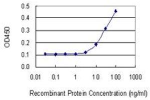 ELISA image for anti-Heat Shock Factor Protein 1 (HSF1) (AA 256-359) antibody (ABIN947995)