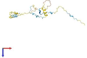 G Substrate Protein (Gsbs) (AA 1-155) (His tag)
