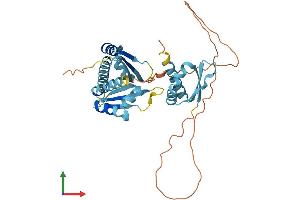 Protein Structure (PS) image for Poly(rC) Binding Protein 1 (PCBP1) (AA 1-356) protein (His tag) (ABIN7550580)