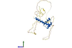 Protein Structure (PS) image for Homeobox C12 (HOXC12) (AA 1-280) protein (His tag) (ABIN7559590)