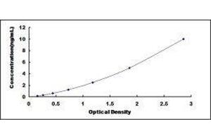 Typical standard curve (PML ELISA Kit)