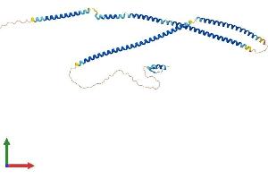Protein Structure (PS) image for TNFAIP3 Interacting Protein 2 (TNIP2) (AA 1-430) protein (His tag) (ABIN7564880)