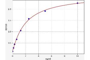 HSF4 ELISA Kit