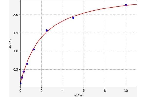 HSF4 ELISA Kit