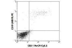 Flow Cytometry (FACS) image for anti-CD79b Molecule, Immunoglobulin-Associated beta (CD79B) antibody (PerCP-Cy5.5) (ABIN2660411) (CD79b Antikörper  (PerCP-Cy5.5))