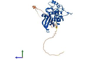 AlphaFold protein structure predicition of Mouse Recombinant Tssk1b Protein, UniprotID Q61241