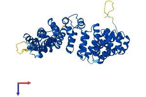 ARMC6 Protein (AA 1-468) (His tag)