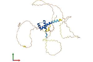 AlphaFold protein structure predicition of Human Recombinant NKX2-1 Protein, UniprotID P43699 (NKX2-1 Protein (AA 1-371) (His tag))