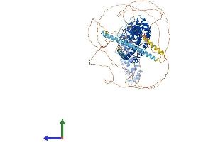 Protein Structure (PS) image for Inversin (INVS) (AA 1-1062) protein (His tag) (ABIN7562704)