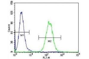 Vimentin antibody flow cytometric analysis of A549 cells (right histogram) compared to a negative control (left histogram).