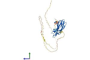Protein Structure (PS) image for Regulating Synaptic Membrane Exocytosis 3 (RIMS3) (AA 1-308) protein (His tag) (ABIN7551416)