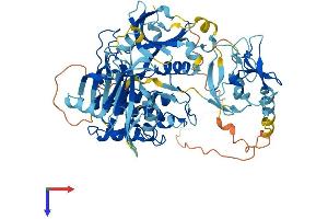 PKC delta Protein (AA 1-676) (His tag)