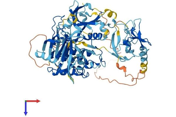PKC delta Protein (AA 1-676) (His tag)