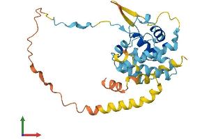 Protein Structure (PS) image for Endogenous Bornavirus-Like Nucleoprotein 2 (EBLN2) (AA 1-272) protein (His tag) (ABIN7547221)