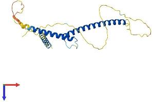 MXI1 Protein (AA 1-228) (His tag)