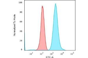 Flow Cytometric Analysis of PFA-fixed K562 cells using Fascin-1 Mouse Monoclonal Antibody (FSCN1/417) followed by Goat anti-Mouse IgG-CF488 (Blue); Isotype Control (Red) (Fascin Antikörper)