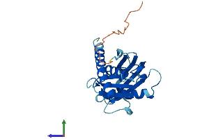 Protein Structure (PS) image for Exosome Component 5 (EXOSC5) (AA 1-235) protein (His tag) (ABIN7553886)