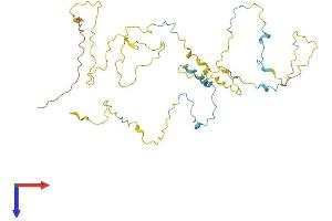 STPG1 Protein (AA 1-341) (His tag)
