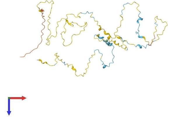 STPG1 Protein (AA 1-341) (His tag)