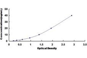 Typical standard curve (Biliverdin Reductase ELISA Kit)