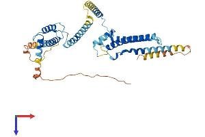 DNAJC28 Protein (AA 1-385) (His tag)