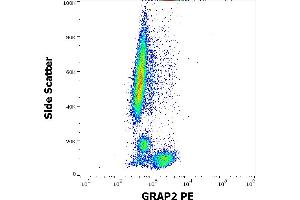 Flow cytometry intracellular staining pattern of human peripheral whole blood stained using anti-human GRAP2(UW40) PE antibody (concentration in sample 1,7 μg/mL). (GRAP2 Antikörper  (PE))