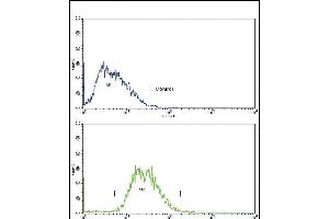 TTR Antibody (Center) (ABIN390652 and ABIN2840950) flow cytometry analysis of HepG2 cells (bottom histogram) compared to a negative control cell (top histogram). (TTR Antikörper  (AA 47-74))