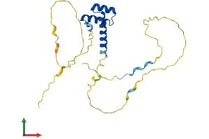 Protein Structure (PS) image for PROP Paired-Like Homeobox 1 (PROP1) (AA 1-226) protein (His tag) (ABIN7550961)