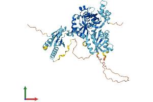 AlphaFold protein structure predicition of Human Recombinant NME8 Protein, UniprotID Q8N427