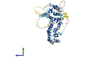 Protein Structure (PS) image for Bystin-Like (BYSL) (AA 1-437) protein (His tag) (ABIN7552911)