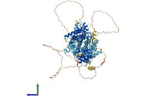 Protein Structure (PS) image for Adenylate Cyclase 5 (ADCY5) (AA 1-1262) protein (His tag) (ABIN7563539)