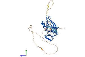 Protein Structure (PS) image for Synapsin III (SYN3) (AA 1-579) protein (His tag) (ABIN7559399)