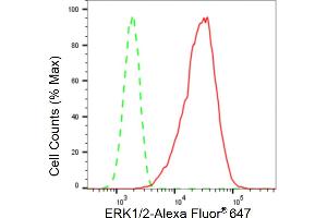 Flow cytometric analysis of ERK1/2 expression in C2C12 cells using ERK1/2 antibody (ABIN7799442), 1:2,000).