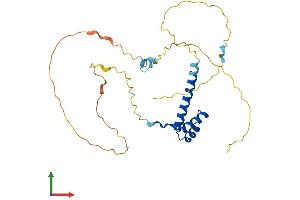 Protein Structure (PS) image for Msh Momeobox 2 (Msx2) (AA 1-267) protein (His tag) (ABIN7556876)