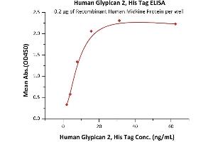 ELISA image for Glypican 2 (GPC2) (AA 24-554) (Active) protein (His tag) (ABIN7013370)
