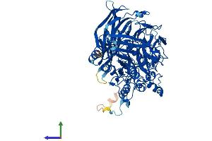 Protein Structure (PS) image for N-Acylaminoacyl-Peptide Hydrolase (APEH) (AA 1-732) protein (His tag) (ABIN7551973)