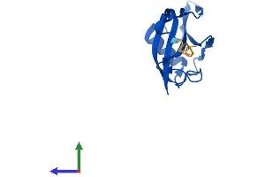 AlphaFold protein structure predicition of Human Recombinant ELOB Protein, UniprotID Q15370