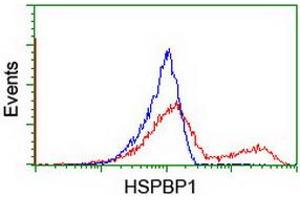 HEK293T cells transfected with either RC201814 overexpress plasmid (Red) or empty vector control plasmid (Blue) were immunostained by anti-HSPBP1 antibody (ABIN2454877), and then analyzed by flow cytometry. (HSPBP1 Antikörper)