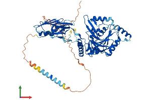 AlphaFold protein structure predicition of Human Recombinant B4GALNT2 Protein, UniprotID Q8NHY0
