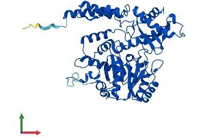 AlphaFold protein structure predicition of Mouse Recombinant Csad Protein, UniprotID Q9DBE0