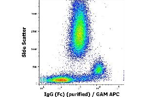 Flow cytometry surface staining pattern of human peripheral whole blood using anti-human IgG (Fc) (EM-07) purified antibody (concentration in sample 1 μg/mL, GAM APC). (Maus anti-Human IgG Fc (Fc Region) Antikörper)