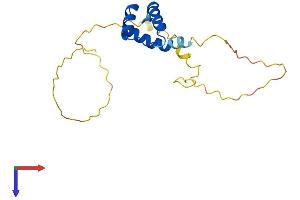 TGIF2LY Protein (AA 1-185) (His tag)