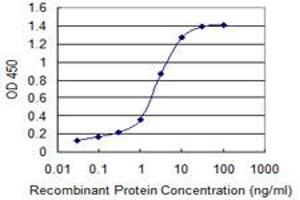 Detection limit for recombinant GST tagged MMP26 is 0. (MMP26 Antikörper  (AA 152-261))