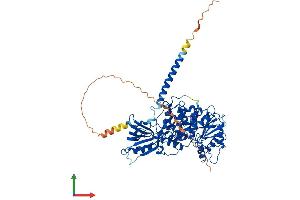 AlphaFold protein structure predicition of Human Recombinant MTMR2 Protein, UniprotID Q13614