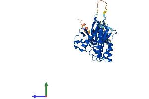 Protein Structure (PS) image for Metallophosphoesterase 1 (MPPE1) (AA 1-396) protein (His tag) (ABIN7549457)