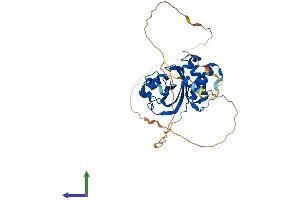 Protein Structure (PS) image for Alport Syndrome, Mental Retardation, Midface Hypoplasia and Elliptocytosis Chromosomal Region Gene 1 (AMMECR1) (AA 1-344) protein (His tag) (ABIN7561518)