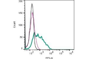 Cell surface detection of CD9 by indirect flow cytometry in live intact human  megakaryoblast cell line: + goat-anti-rabbit-FITC. (CD9 Antikörper  (Extracellular))