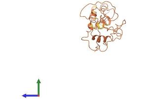 AlphaFold protein structure predicition of Human Recombinant KRTAP4-9 Protein, UniprotID Q9BYQ8