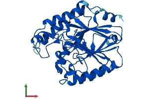 AlphaFold protein structure predicition of Mouse Recombinant Cpped1 Protein, UniprotID Q8BFS6 (Cpped1 Protein (AA 1-312) (His tag))